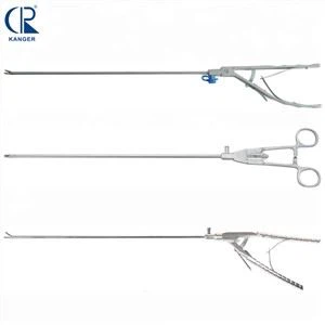 Laparoscopic Koob Tuav Tseg